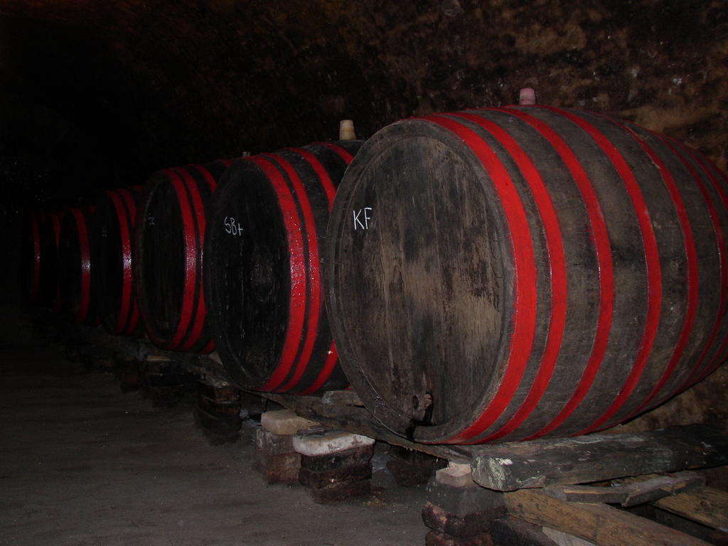 Podrumi Kolar "Suza Baranje" Kneževi Vinogradi Extérieur photo